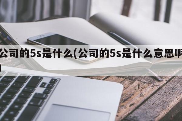 公司的5s是什么(公司的5s是什么意思啊)